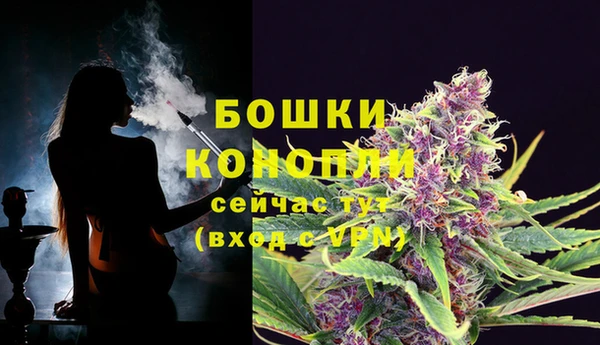 прущая мука Дмитриев